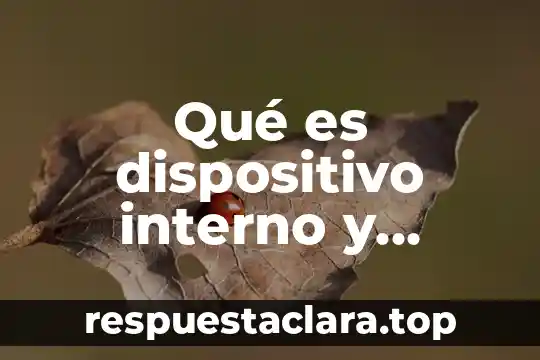 Qué es dispositivo interno y externo