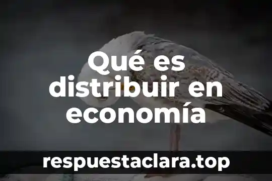 Que es nombre en la tarjeta 5 Qué es distribuir en economía