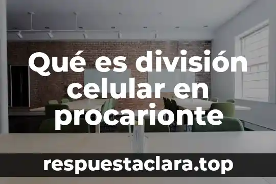 Qué es división celular en procarionte