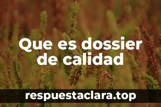 Que es dossier de calidad