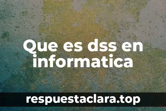 Que es dss en informatica