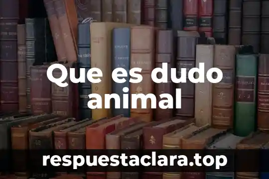 Que es el centro de reseteo en animal crossing 7 Que es dudo animal