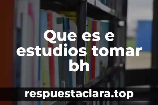 Qué es el patrimonio de un comerciante 3 Que es e estudios tomar bh