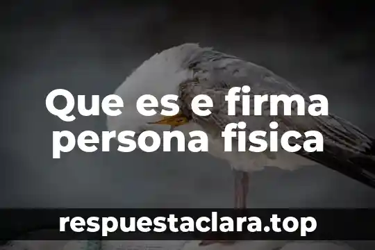 Que es la firma electronica avanzada fea 4 Que es e firma persona fisica