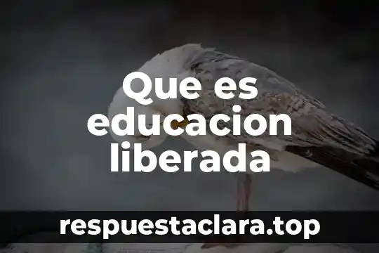 Que es educacion liberada