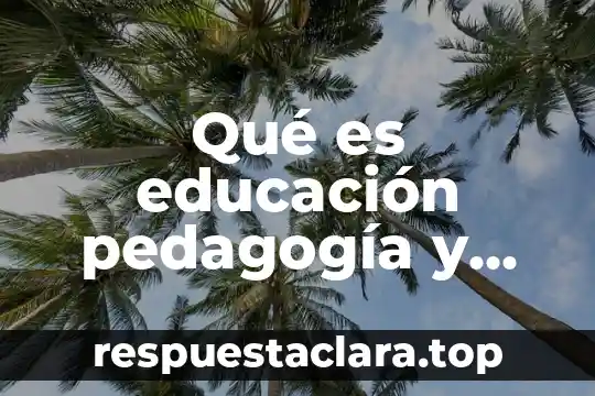 Qué es educación pedagogía y didáctica