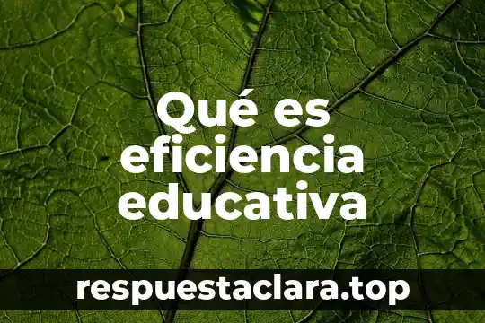 Qué es eficiencia educativa