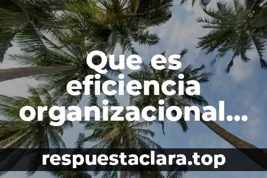 Que es un argumento un ejemplo 6 Que es eficiencia organizacional ejemplo