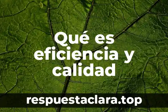 Qué es eficiencia y calidad