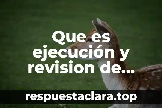 Que es ejecución y revision de procesos asignados