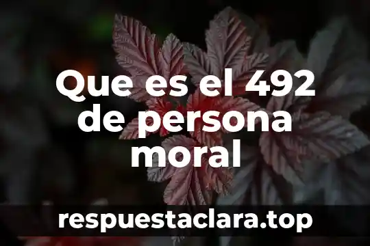 Que es el 492 de persona moral