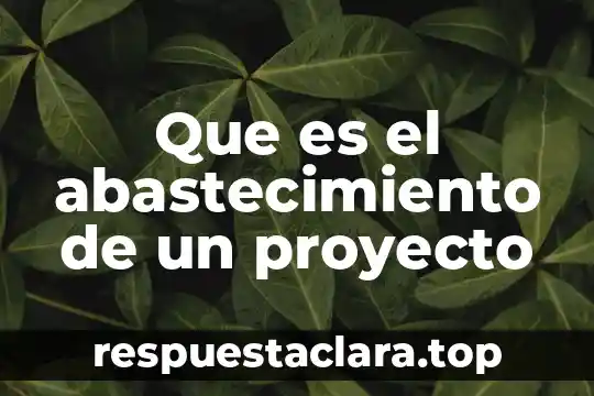 Proyecto de nación que es ser un buen ciudadano 7 Que es el abastecimiento de un proyecto