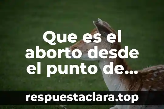 Que es el aborto desde el punto de vista etico