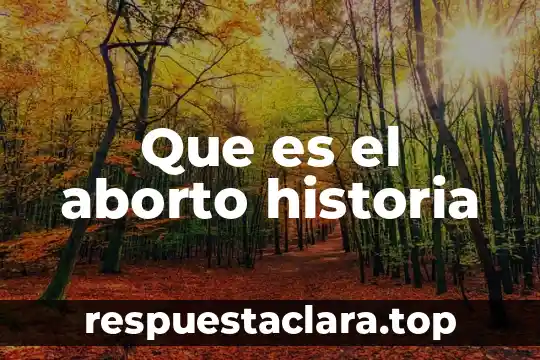 Que es la propuesta en un proyecto 4 Que es el aborto historia