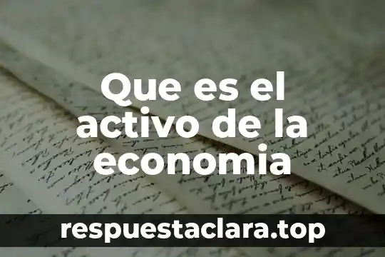 Que es el activo de la economia