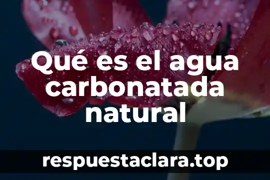 Qué es el agua carbonatada natural
