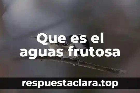 Que es s6 y s6 dibujo tecnico 7 Que es el aguas frutosa