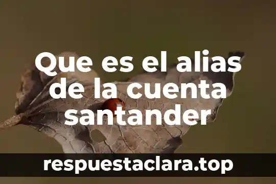 Que es la cuenta capital y financiera 3 Que es el alias de la cuenta santander