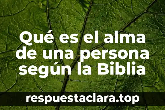 Que es ser una persona híbrido significado 3 Qué es el alma de una persona según la Biblia