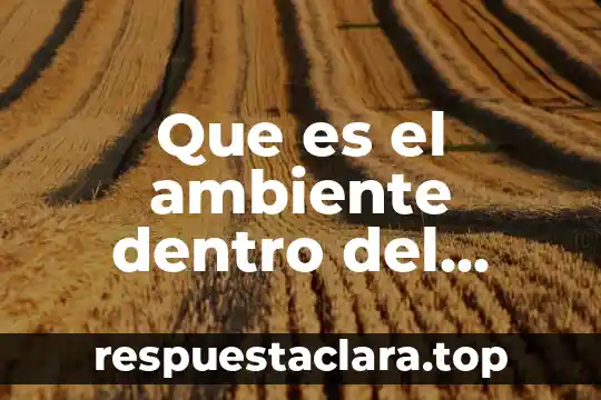 Que es el ambiente dentro del psicodrama