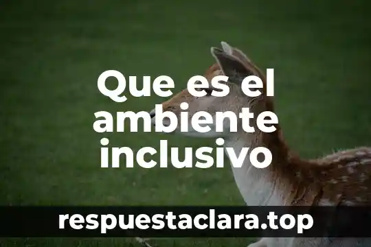 Que es el ambiente inclusivo