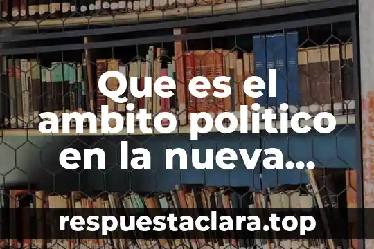 Que es el ambito politico en la nueva españa