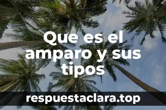 Qué es un logotipo y cómo se diseña 6 Que es el amparo y sus tipos