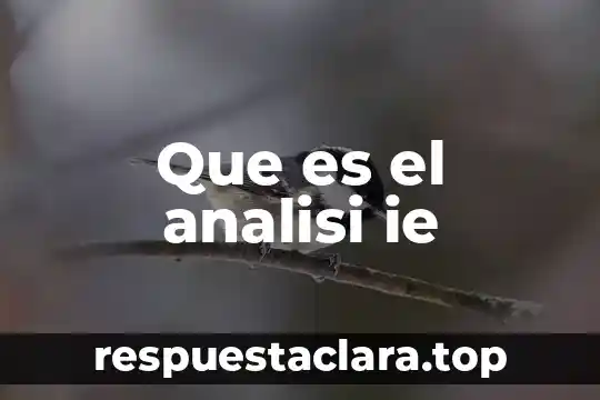 Que es el analisi ie
