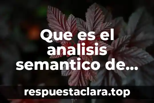 Qué es análisis semántico de la arquitectura 5 Que es el analisis semantico de oraciones