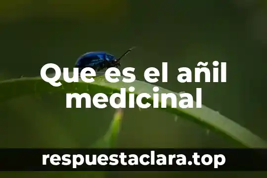 Que es el añil medicinal