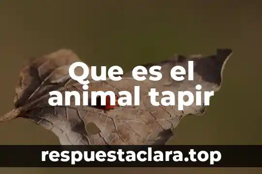 Que es un bobcat animal 4 Que es el animal tapir