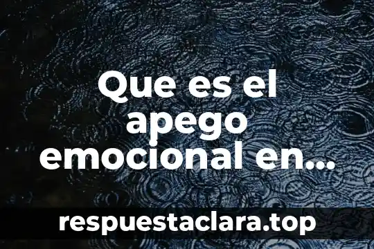 Que es el apego emocional en las relaciones