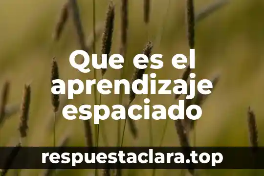 Ad account que es 7 Que es el aprendizaje espaciado