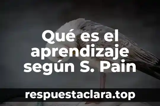 Qué es el aprendizaje según S. Pain