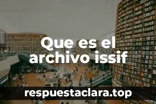 Que es nombre de archivo 8 Que es el archivo issif