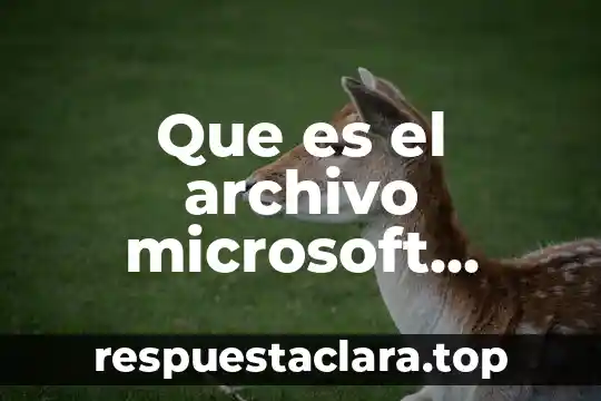 Que es el archivo microsoft visual c