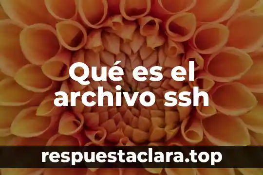 Que es un archivo ide en gta san andreas 8 Qué es el archivo ssh