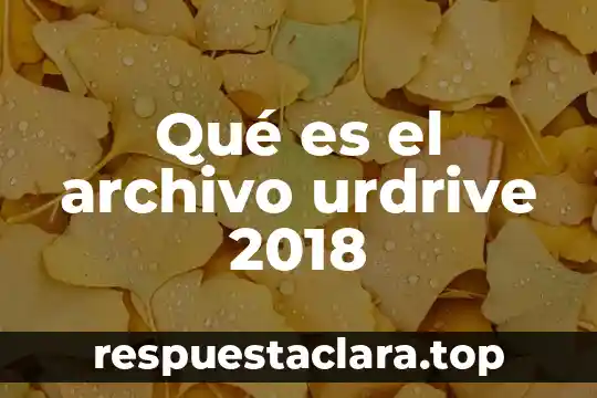 Qué es el archivo ssh 6 Qué es el archivo urdrive 2018