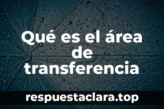 Qué es el área de transferencia