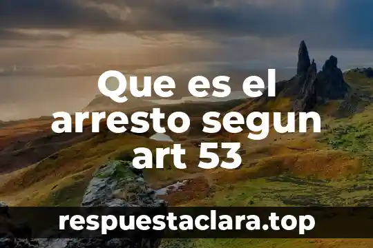 Que es el arresto segun art 53