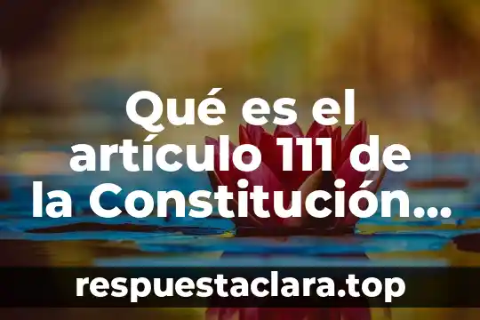 Qué es el artículo 111 de la Constitución Mexicana