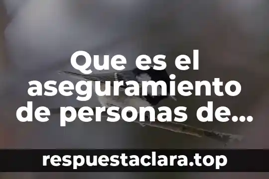 Que es un circulo de personas 7 Que es el aseguramiento de personas de extranjeros
