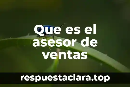 Que es el asesor de ventas