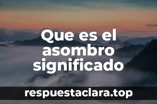 Que es una nota bibiografica significado 6 Que es el asombro significado
