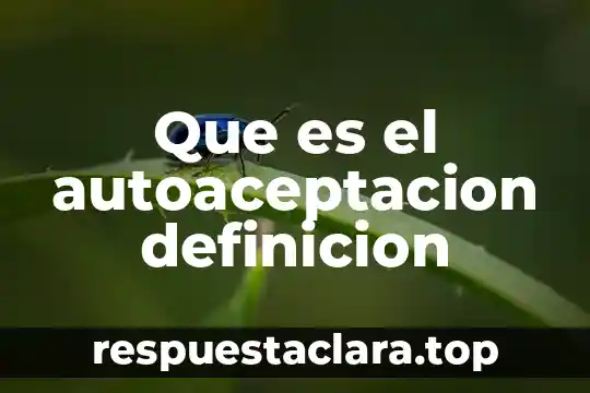 Que es el autoaceptacion definicion