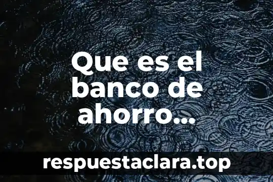 Que es el banco de ahorro nacional y servicios financieros