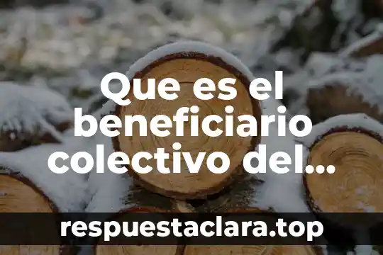 Que es el número de seguro 4 Que es el beneficiario colectivo del seguro