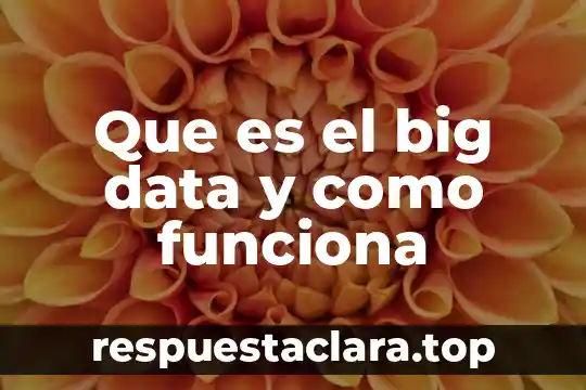 Que es el big data y como funciona