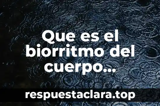 Que es el biorritmo del cuerpo humano
