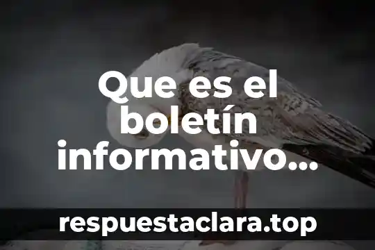 Que es el boletín informativo primaria